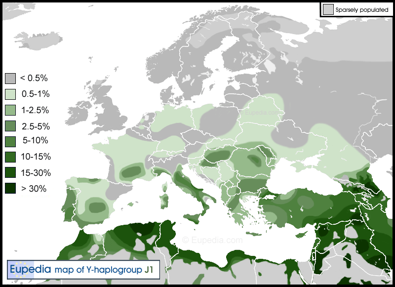 Y-ADN en Europe